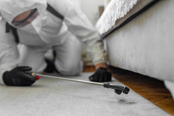 Professional Bed Bug Control technician working in Altus, OK